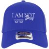 OTTO CAP® OTTO FLEX® Fitted 6 Panel Low Profile Baseball Cap Thumbnail